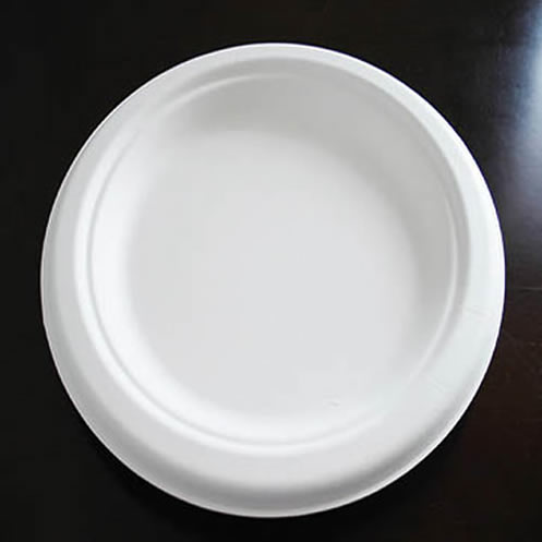 VACUUM FORM HIP ROUND PLATE 220 x 22mm